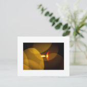 Eine brennende Kerze ポストカード (スタンド正面)