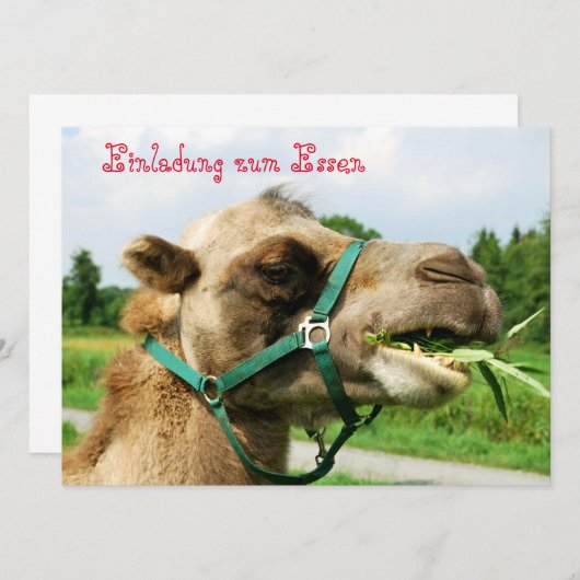 Einladung zum Essen 招待状 (正面/裏面)