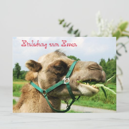 Einladung zum Essen 招待状 (スタンド正面)