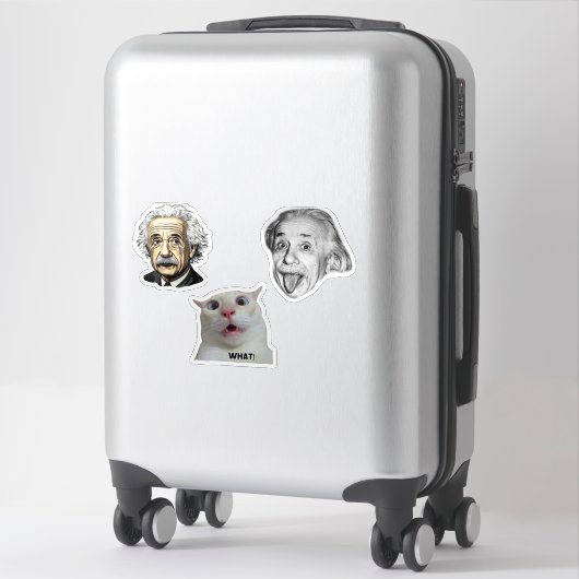 Einstein Genius & Hilarious Cat Sticker  シール (スーツケース)