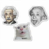 Einstein Genius & Hilarious Cat Sticker  シール (正面)