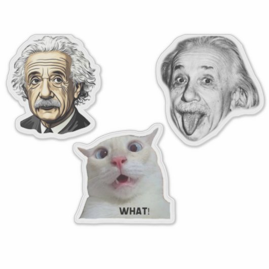 Einstein Genius & Hilarious Cat Sticker  シール (正面)