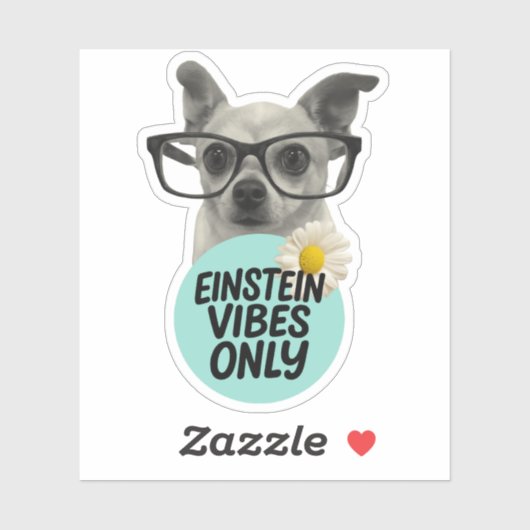 Einstein Vibes Only – Smart & Sassy Sticker シール (シート)