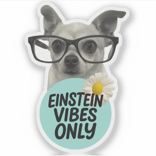 Einstein Vibes Only – Smart & Sassy Sticker シール (正面)
