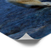 Eisbaer ポスター (角)