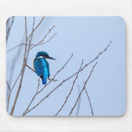 Eisvogel im Ansitz マウスパッド (正面)