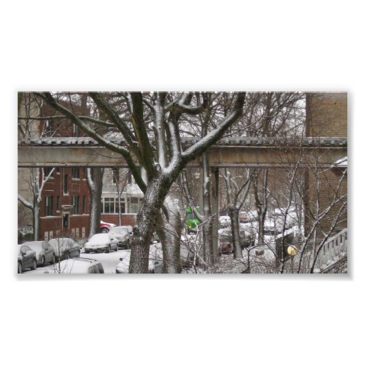 Elトラック フォトプリント (正面)