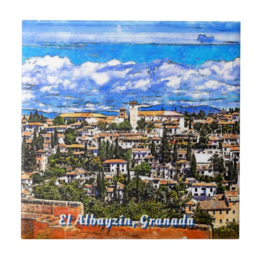 El Albayzine, Granada, Andalusia，スペイン。 タイル (正面)