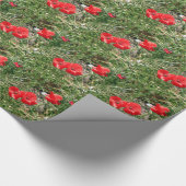 El Caminoの赤いケシ ラッピングペーパー (角)