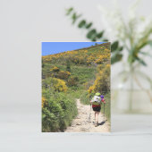 El Camino, Molinaseca to O'Cebreiro,スペイン ポストカード (スタンド正面)