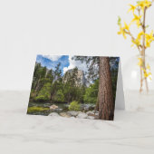 El Capitanの挨拶状 カード (黄色い花)