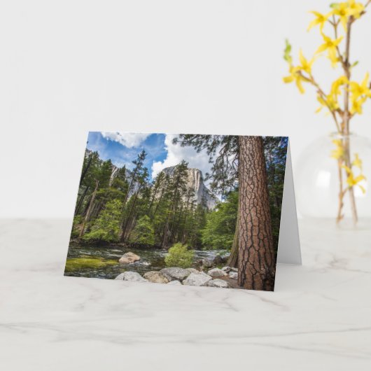 El Capitanの挨拶状 カード (黄色い花)
