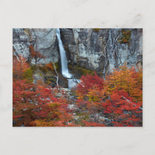 El Chorrillo Waterfall   Patagonia, Argentina ポストカード