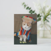 El Gato Bubba ポストカード (スタンド正面)