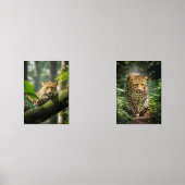 El Guardián del Musgo (正面)