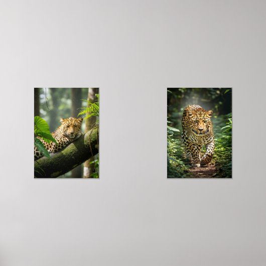 El Guardián del Musgo (正面)