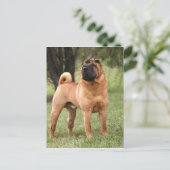 EL JAYSの郵便はがき ポストカード (スタンド正面)