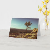 El Malpais、ニューメキシコ風景写真 カード (黄色い花)