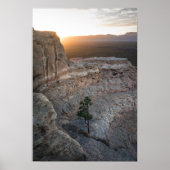 El Malpais Sandstone Bluffs ポスター (正面)