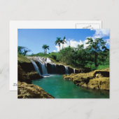 El Nicho滝、キューバ ポストカード (正面/裏面)