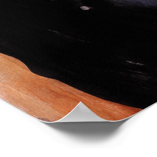 El Solo Fantastico ポスター (角)