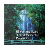 El Yuniqueの雨林 タイル (正面)