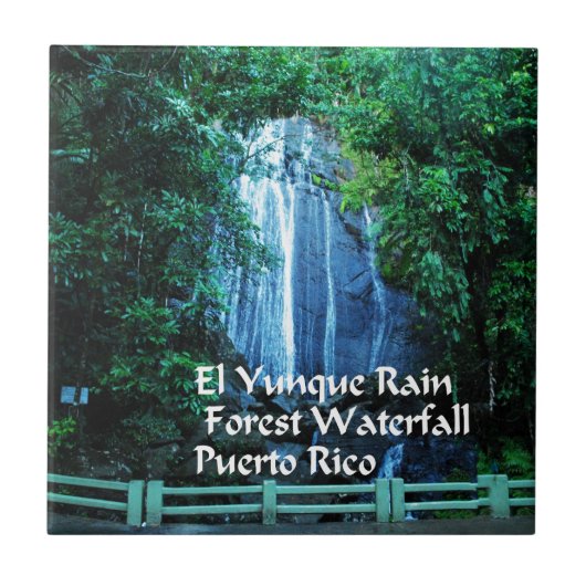 El Yuniqueの雨林 タイル (正面)