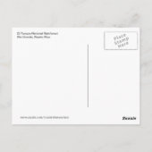 El Yunqueの国民の雨林の熱帯植物 ポストカード (裏面)