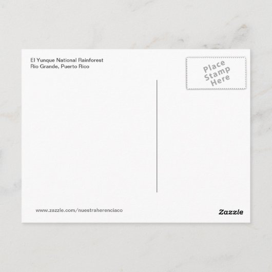 El Yunqueの国民の雨林の熱帯植物 ポストカード (裏面)