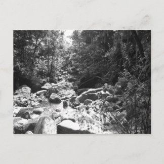 El Yunqueの国民の雨林 ポストカード