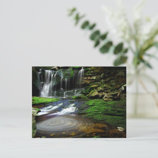 Elakalaの滝の渦巻くプールのコケむした石 ポストカード (スタンド正面)