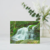 Elakala滝#2、ウェストバージニア ポストカード (スタンド正面)