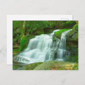 Elakala滝#2、ウェストバージニア ポストカード (正面/裏面)