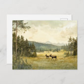 Elche im Sommer - Postkarte ポストカード (正面/裏面)