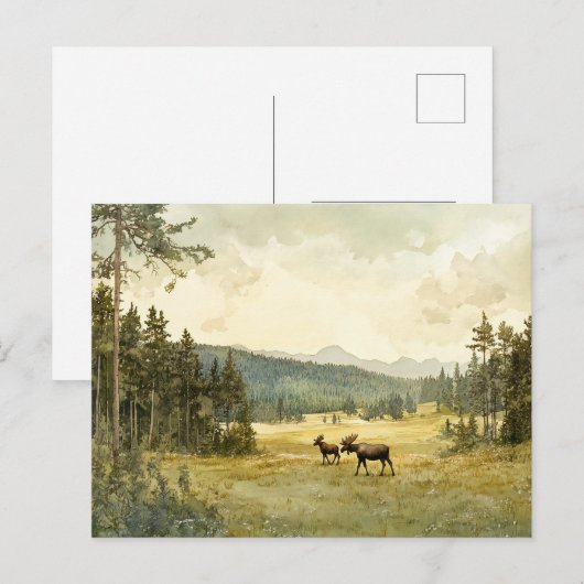 Elche im Sommer - Postkarte ポストカード (正面/裏面)