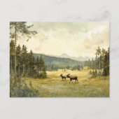 Elche im Sommer - Postkarte ポストカード (正面)