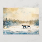 Elche im Winter - Postkarte ポストカード (正面)