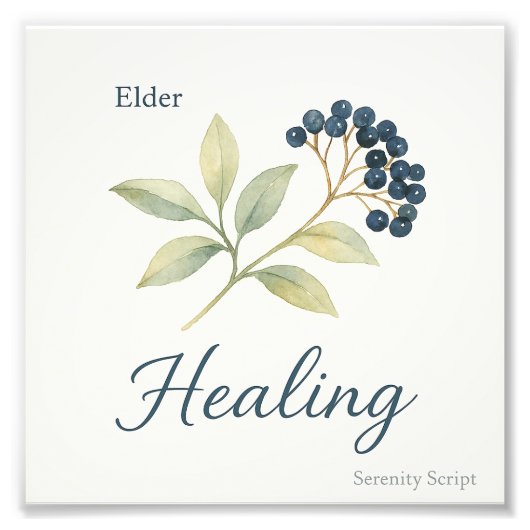 Elder — Healing フォトプリント (正面)