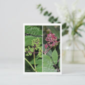 ELDERBERRYブックマーク ポストカード (スタンド正面)