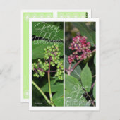 ELDERBERRYブックマーク ポストカード (正面/裏面)