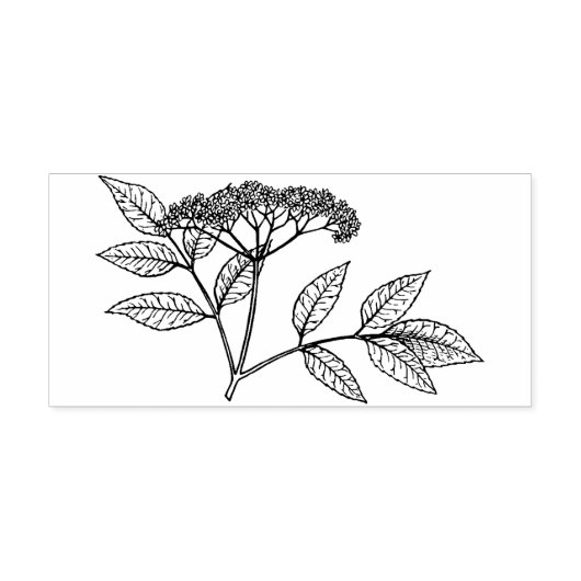 Elderberry plant  Rubber stamp ラバースタンプ (インプリント)