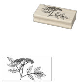 Elderberry plant  Rubber stamp ラバースタンプ (押印)