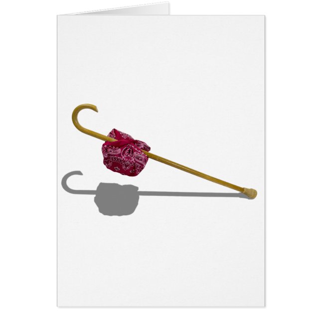 ElderlyGetAwayKit091711 (正面)