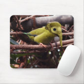 Elebirdのmousepad マウスパッド (マウス)