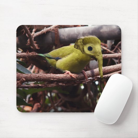 Elebirdのmousepad マウスパッド (マウス)