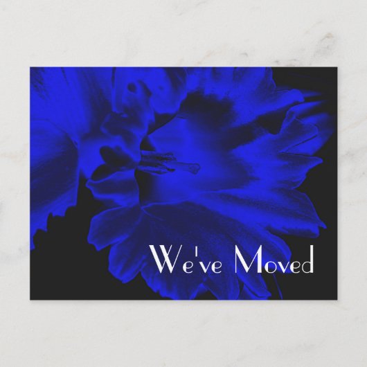 Electric Blue Daffodil新しい住所フローラはがき 案内ポストカード (正面)