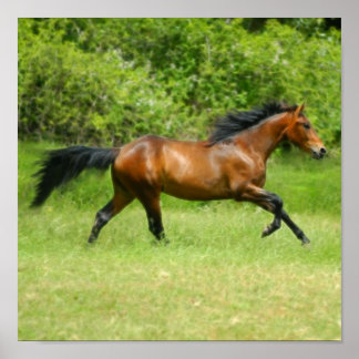 Electrichorse ポスター