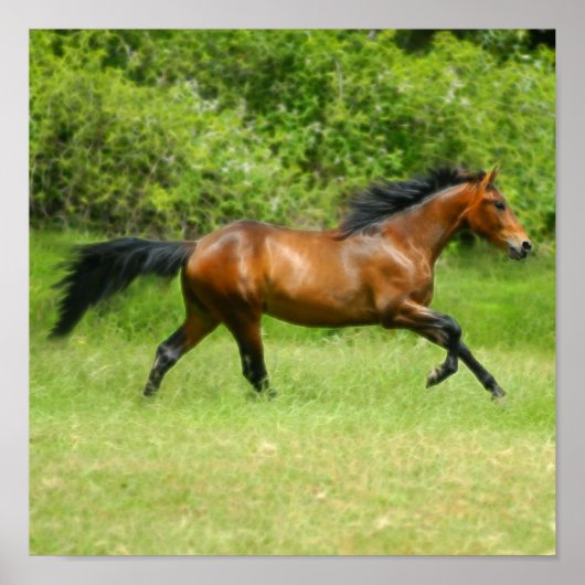 Electrichorse ポスター (正面)