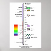 Electromagnetic Spectrum (Wavelengths Comparison) ポスター (正面)