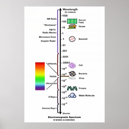 Electromagnetic Spectrum (Wavelengths Comparison) ポスター (正面)